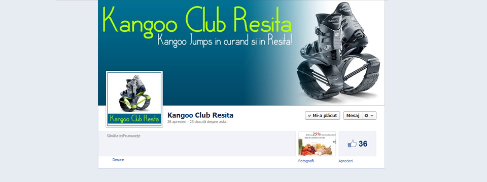 kangoo-resita